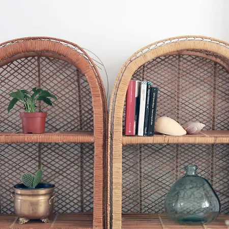 Madreselva פסקיצ'י